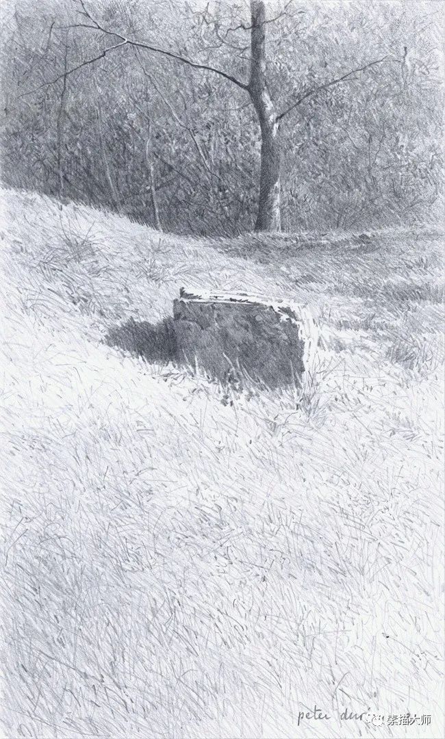 牛逼的草木风景素描，荷兰画家彼得·杜里欧作品