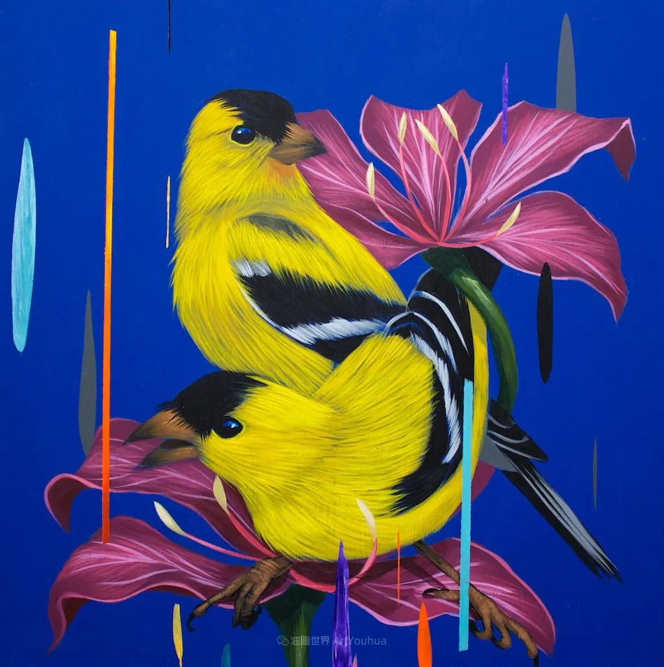 超现实色彩鸟类绘画，弗兰克·冈萨雷斯作品欣赏