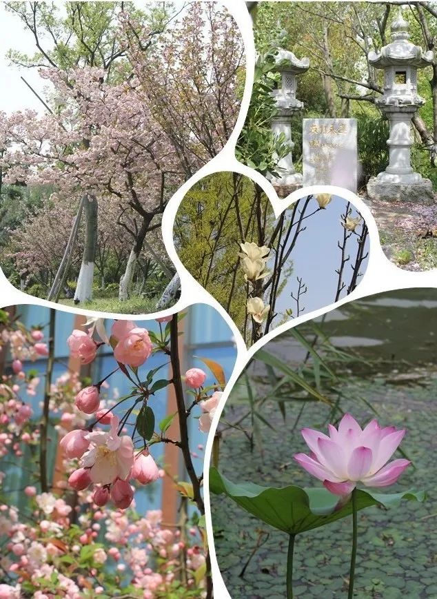 油画名家走进尚湖（写生招募）